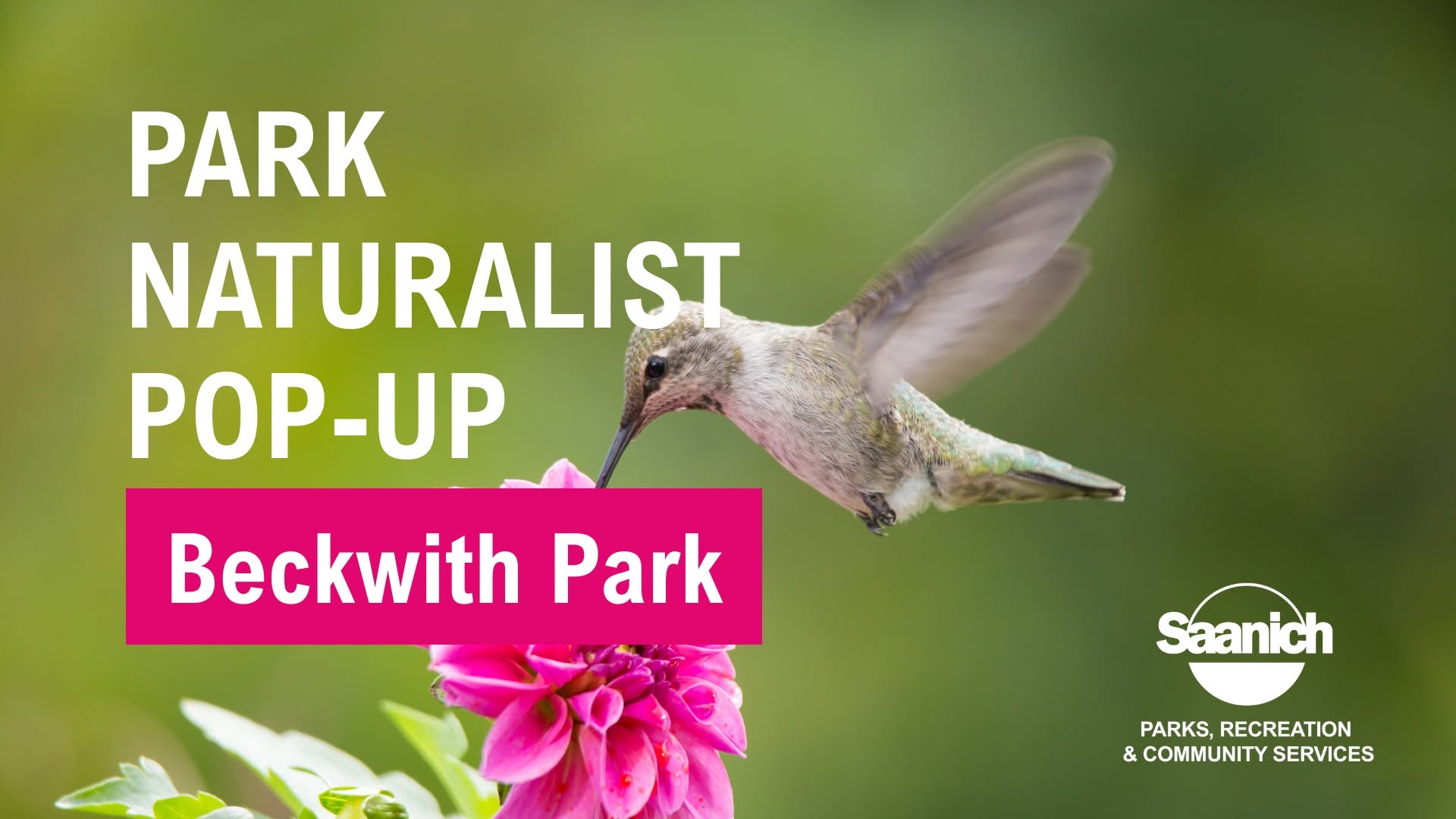 Park Naturalist Pop-Up And Nature Walk - Beckwith Park