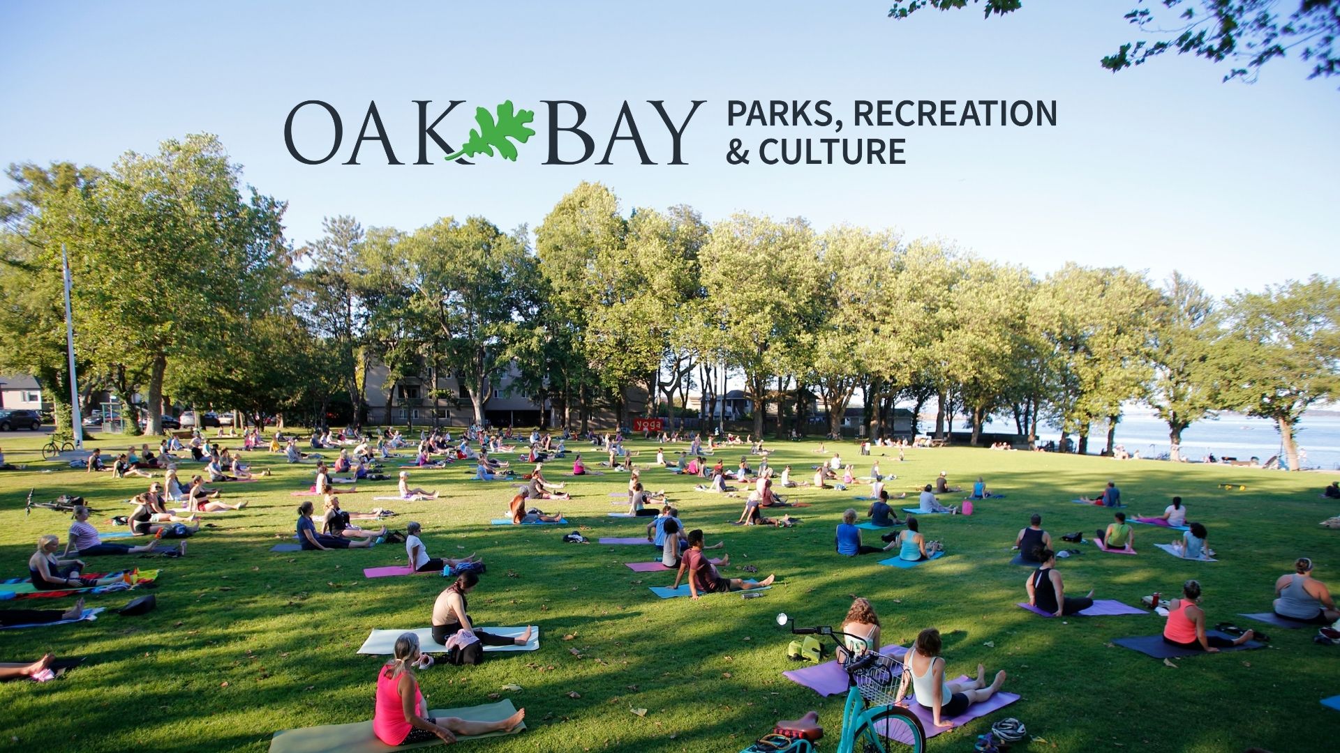 Yoga in the Park 2026