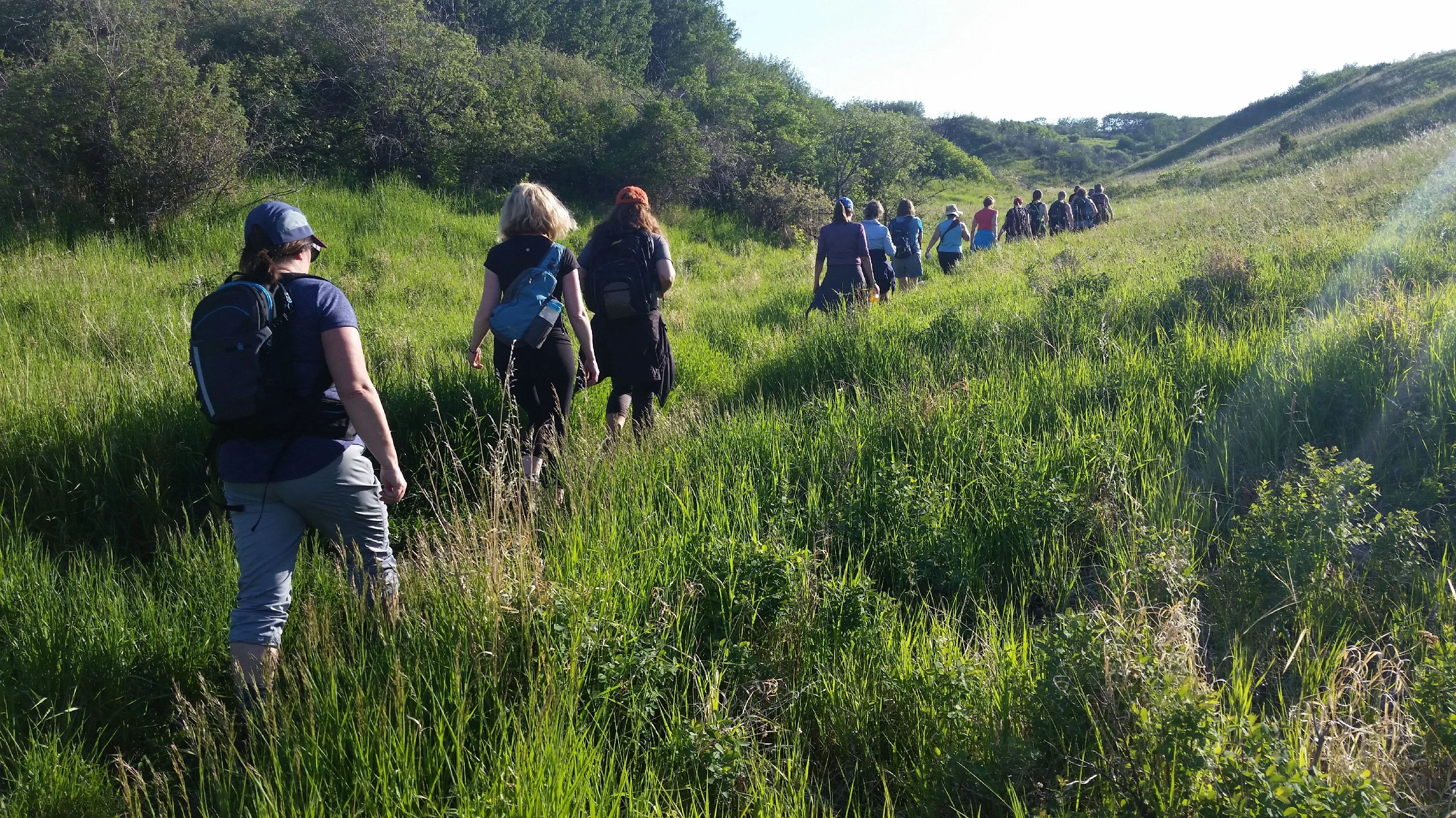 Tuesday Evening Urban Walk / Nose Hill 1