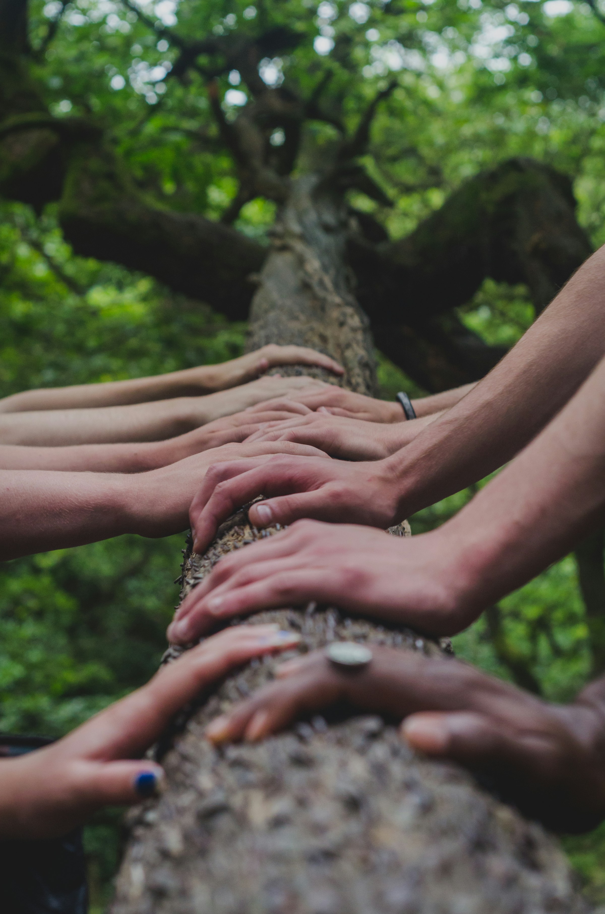 Forming a Cohesive Narrative of Community Collaboration
