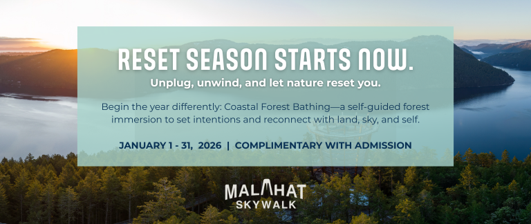Coastal Forest Bathing at Malahat SkyWalk