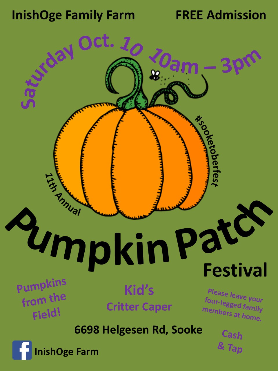Pumpkin Patch!
