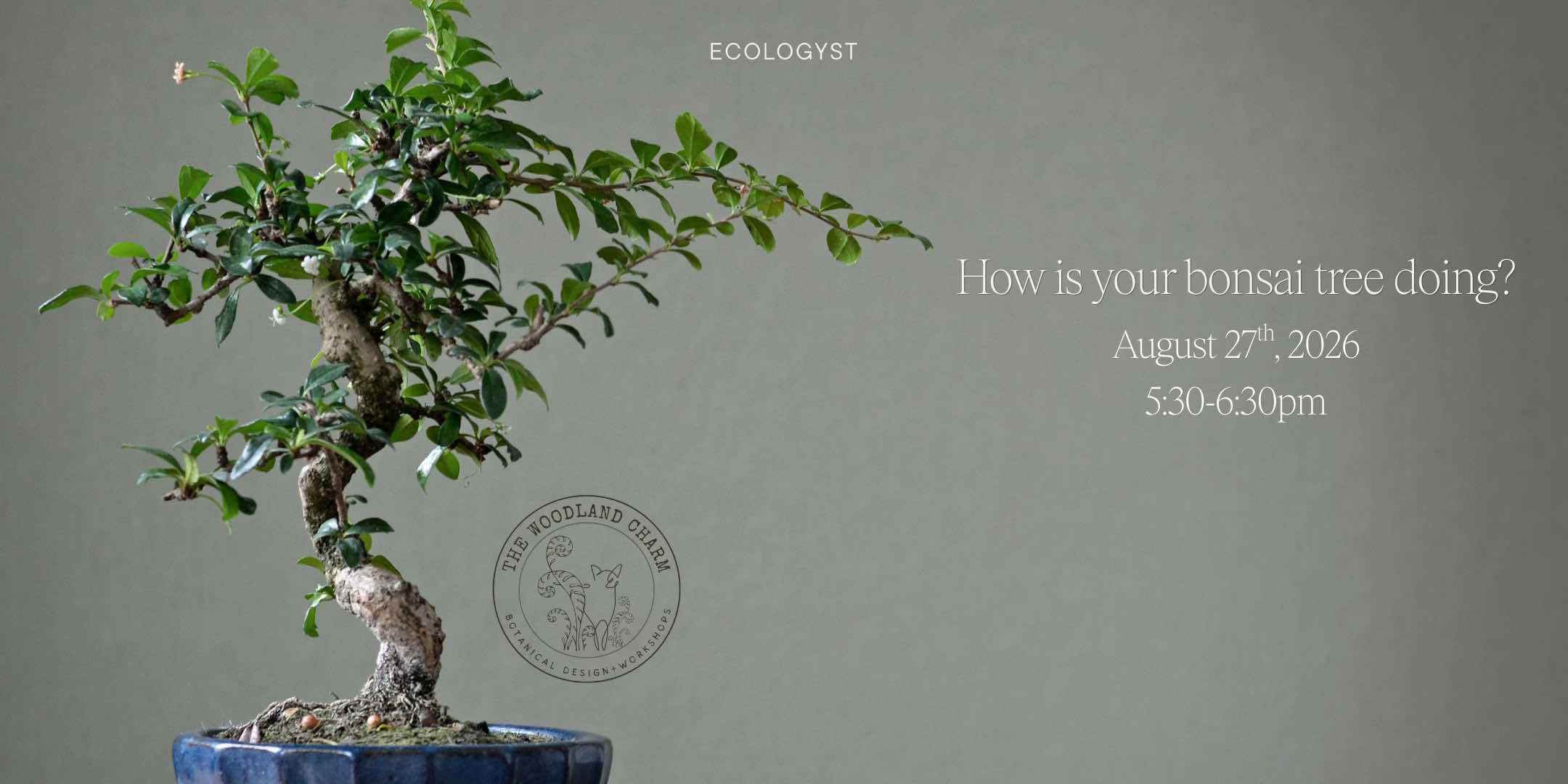How is your Bonsai Tree doing? — A free seminar for Bonsai beginners
