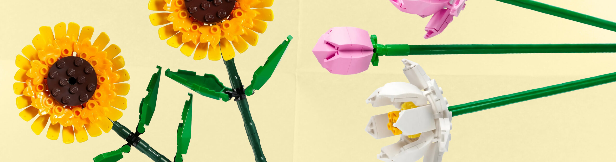 AFTER DARK: CREATIVITY IN BLOOM – LEGO BRICKS EDITION at Science World