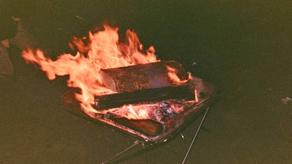 Big Bird Sit at Goldstream Day Use Parking Lot
