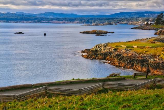 Sea Duck Winter Walk at Macauley Point