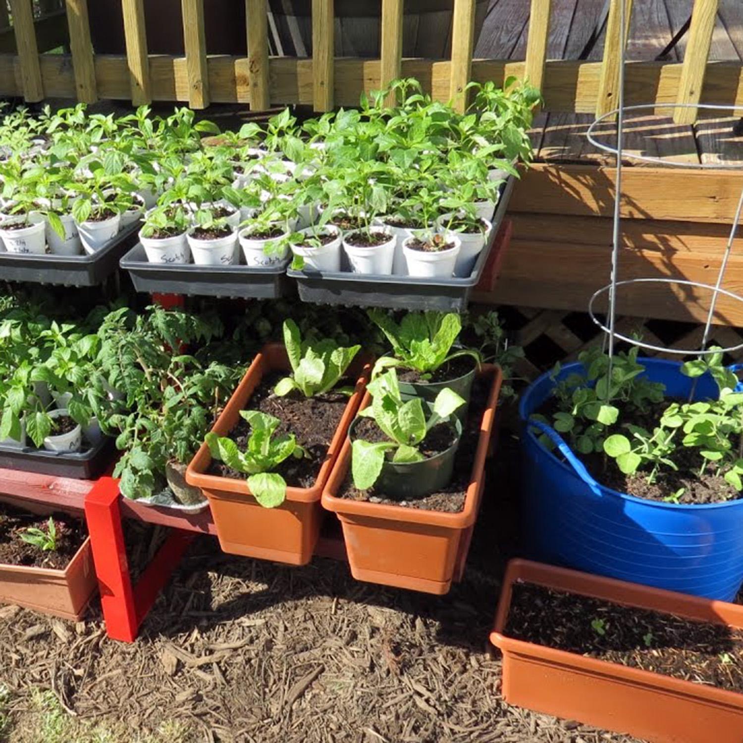 Container Gardening Workshop