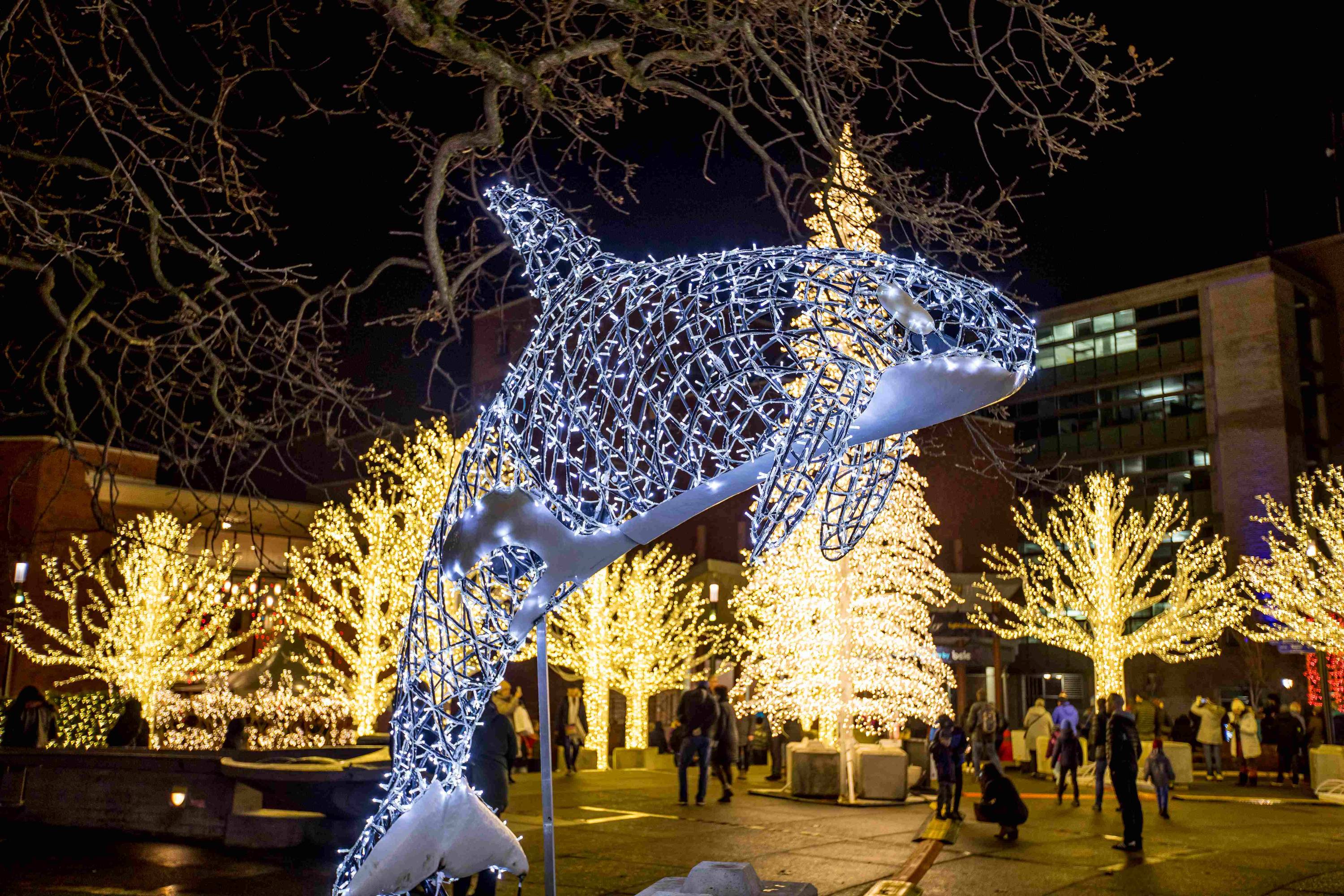 Lights of Wonder at Centennial Square