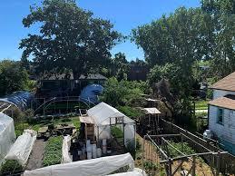 Soft Opening Plant Week! at 1015 Balmoral Rd.